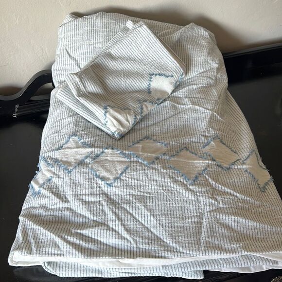 Pottery Barn Teen Plant Dyed Diamond Trim Duvet Cover and sham - Picture 1 of 11